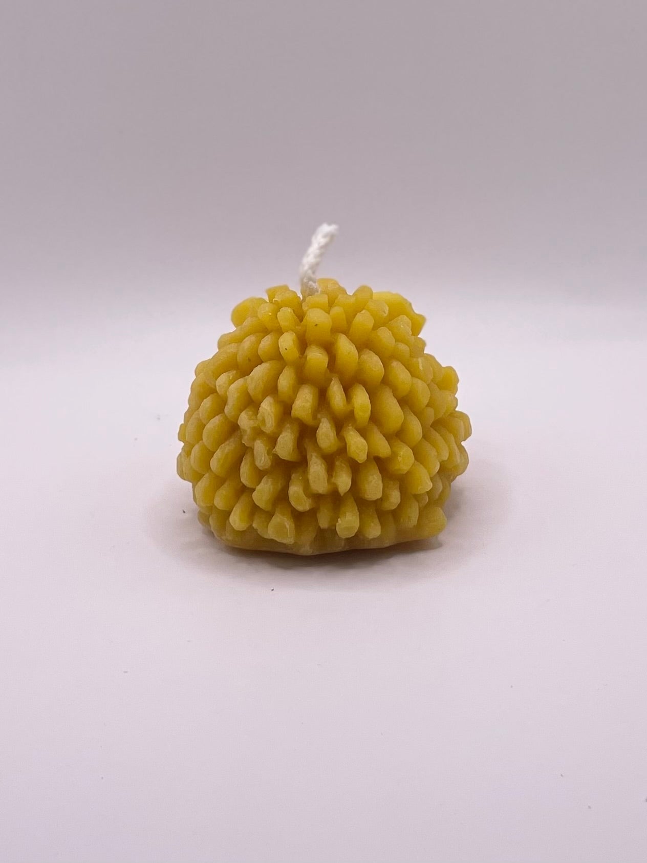 Bičių vaško žvakė ''Aviniukas Ilgaausis''