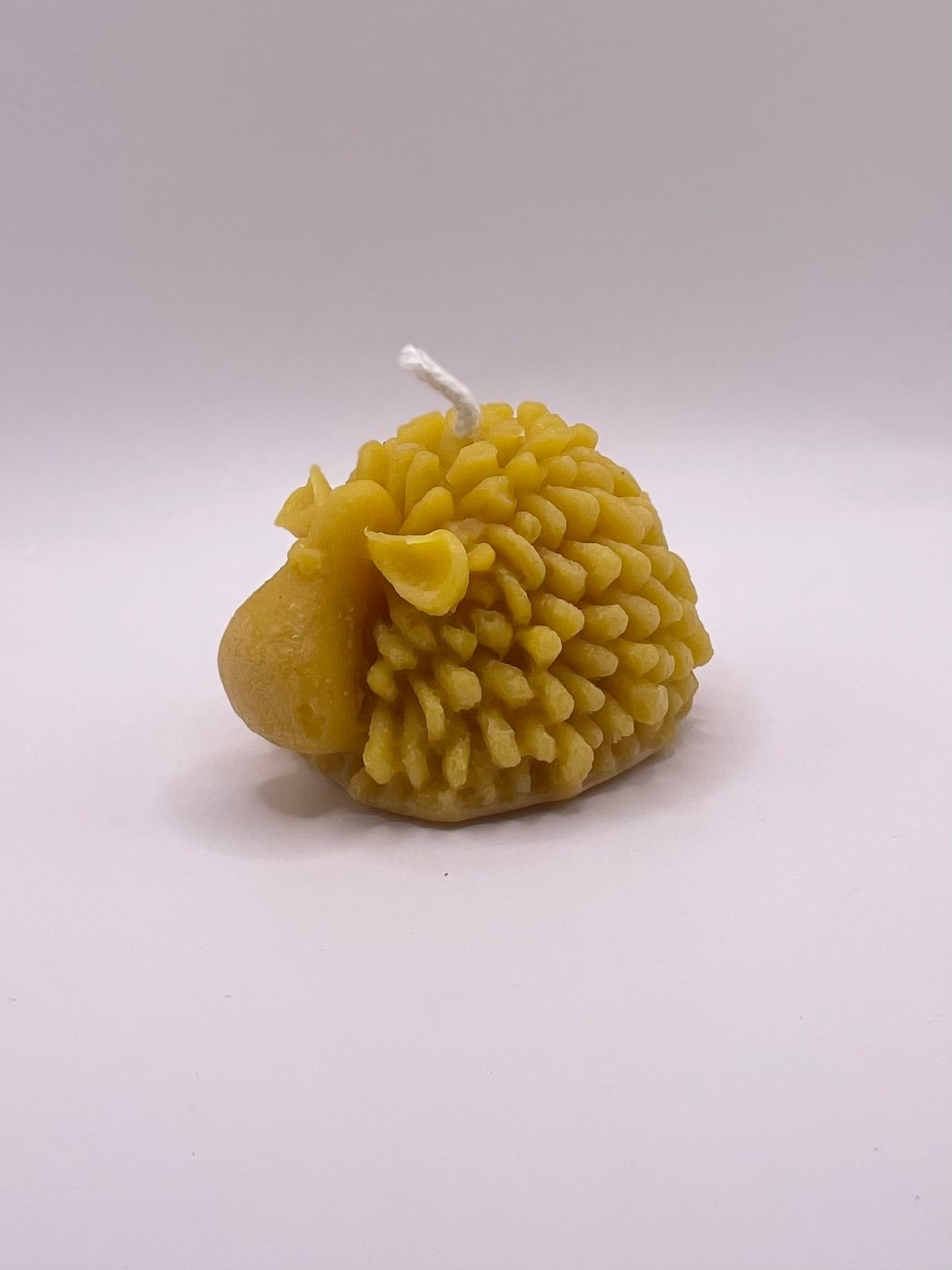 Bičių vaško žvakė ''Aviniukas Ilgaausis''